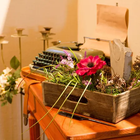 酒店 Cafe Frida 3*